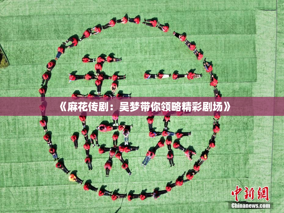 《麻花传剧：吴梦带你领略精彩剧场》