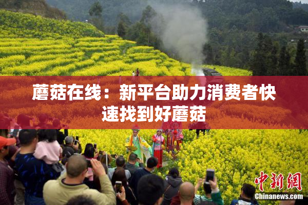 蘑菇在线：新平台助力消费者快速找到好蘑菇