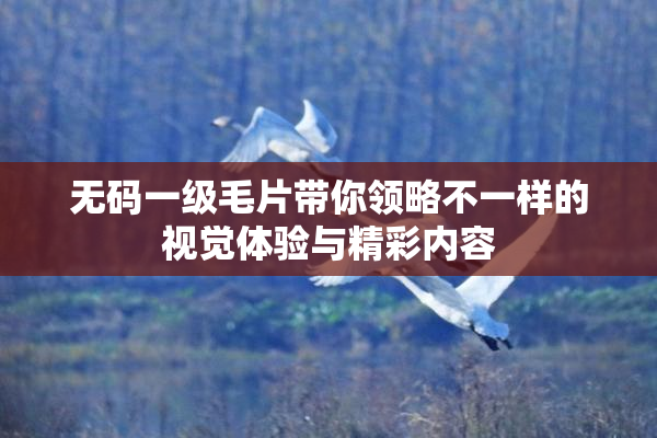 无码一级毛片带你领略不一样的视觉体验与精彩内容