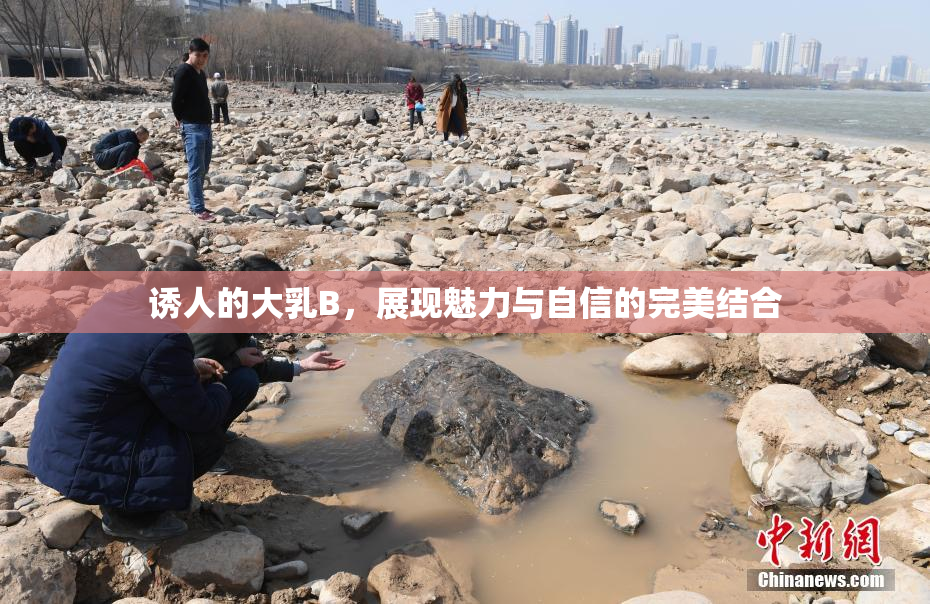 诱人的大乳B，展现魅力与自信的完美结合
