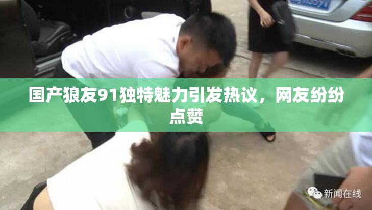 国产狼友91独特魅力引发热议，网友纷纷点赞