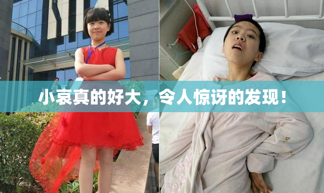 小哀真的好大，令人惊讶的发现！