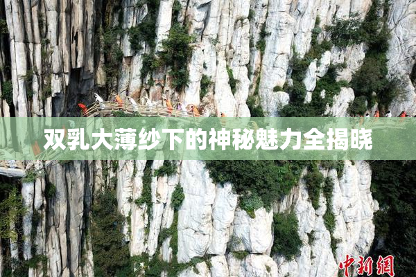 双乳大薄纱下的神秘魅力全揭晓