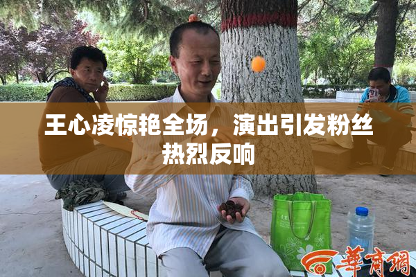 王心凌惊艳全场，演出引发粉丝热烈反响