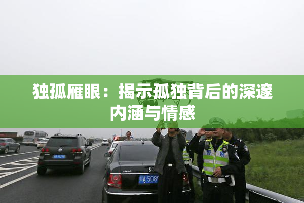 独孤雁眼：揭示孤独背后的深邃内涵与情感