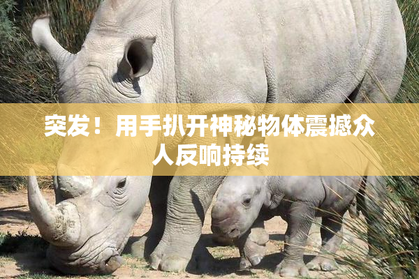 突发！用手扒开神秘物体震撼众人反响持续