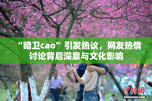 “暗卫cao”引发热议，网友热情讨论背后深意与文化影响