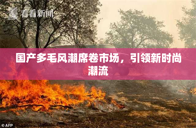 国产多毛风潮席卷市场，引领新时尚潮流