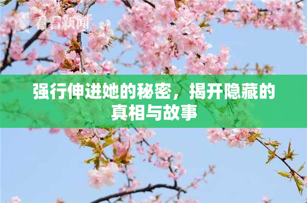 强行伸进她的秘密，揭开隐藏的真相与故事