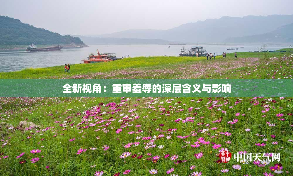 全新视角：重审羞辱的深层含义与影响