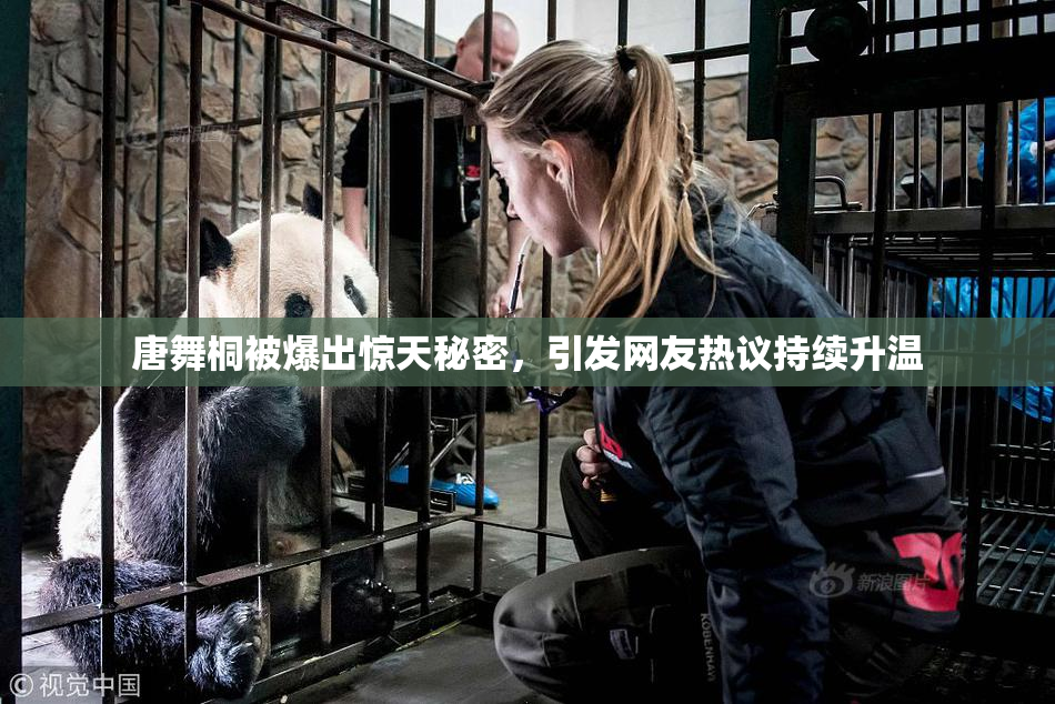 唐舞桐被爆出惊天秘密，引发网友热议持续升温