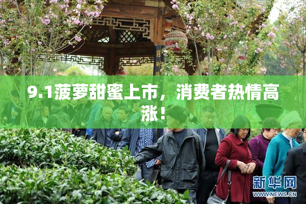 9.1菠萝甜蜜上市，消费者热情高涨！