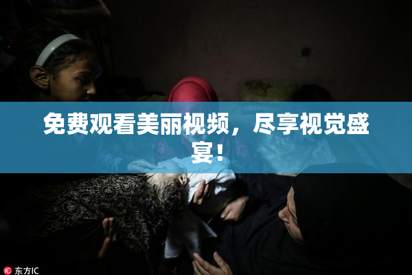 免费观看美丽视频，尽享视觉盛宴！