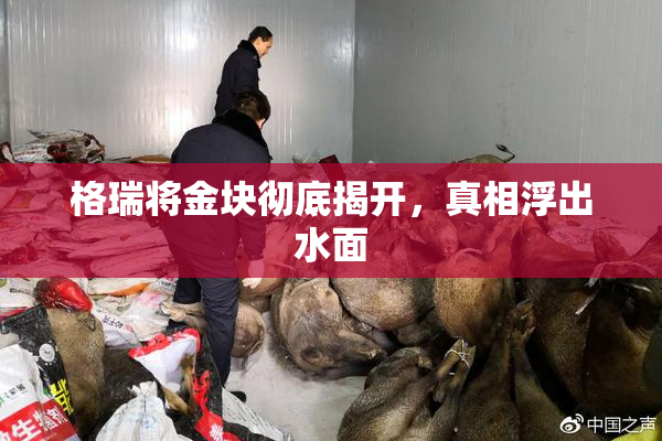 格瑞将金块彻底揭开，真相浮出水面