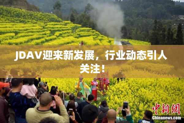 JDAV迎来新发展，行业动态引人关注！