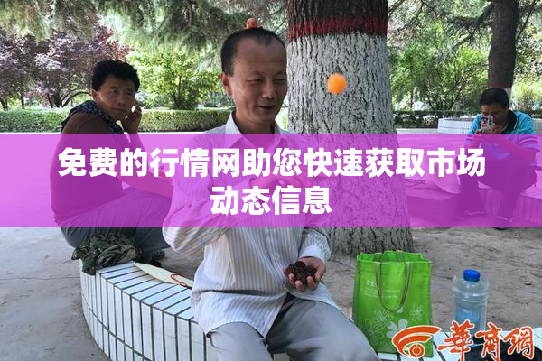 免费的行情网助您快速获取市场动态信息