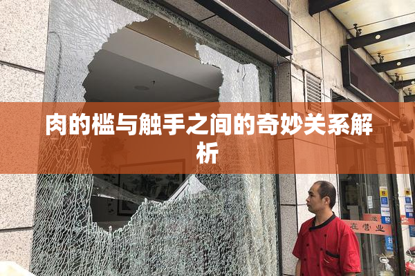 肉的槛与触手之间的奇妙关系解析