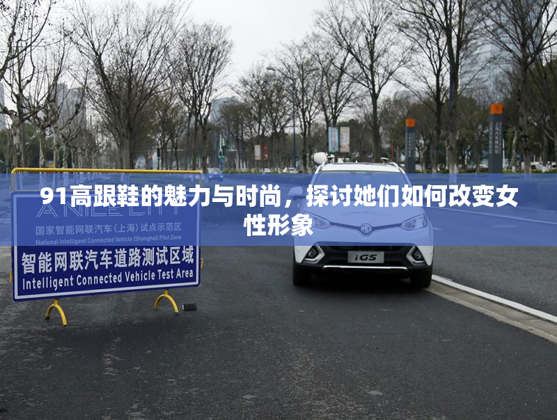 91高跟鞋的魅力与时尚，探讨她们如何改变女性形象
