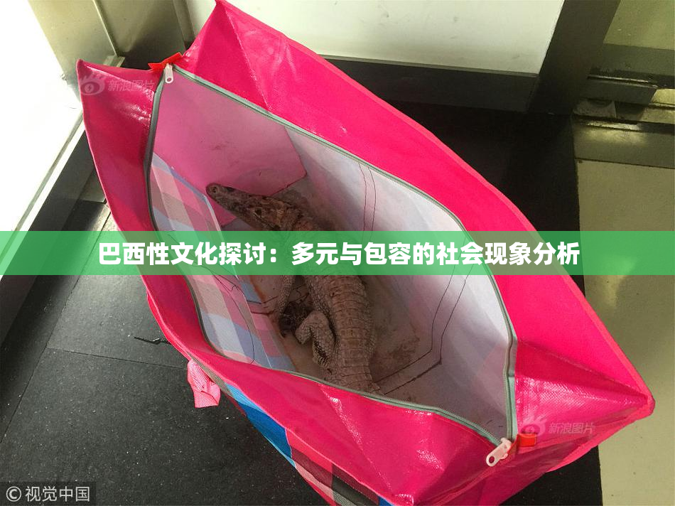 巴西性文化探讨：多元与包容的社会现象分析