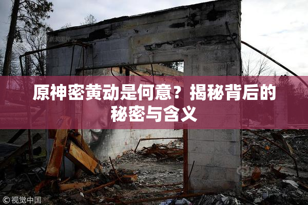 原神密黄动是何意？揭秘背后的秘密与含义