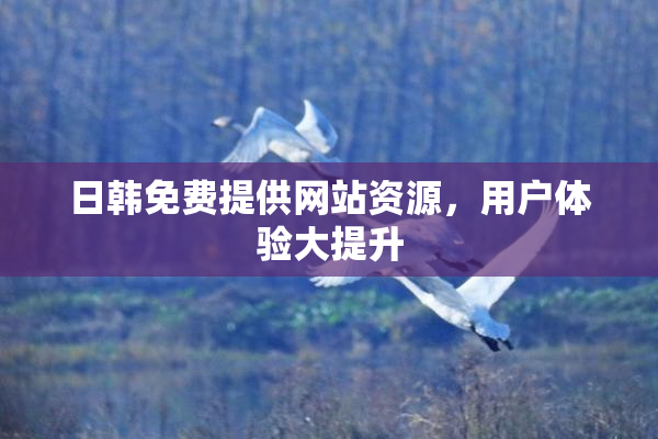 日韩免费提供网站资源，用户体验大提升