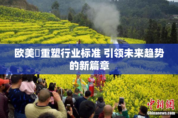 欧美巜重塑行业标准 引领未来趋势的新篇章