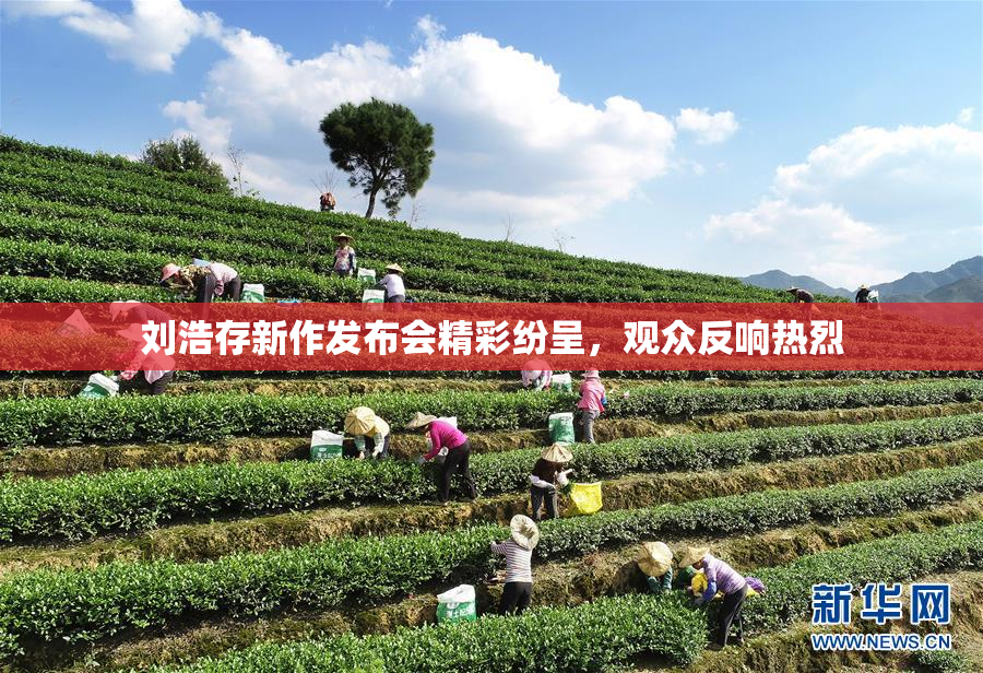 刘浩存新作发布会精彩纷呈，观众反响热烈