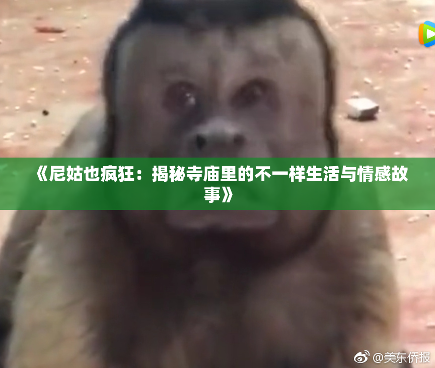 《尼姑也疯狂：揭秘寺庙里的不一样生活与情感故事》