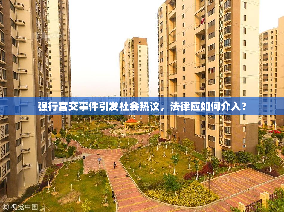 强行宫交事件引发社会热议，法律应如何介入？