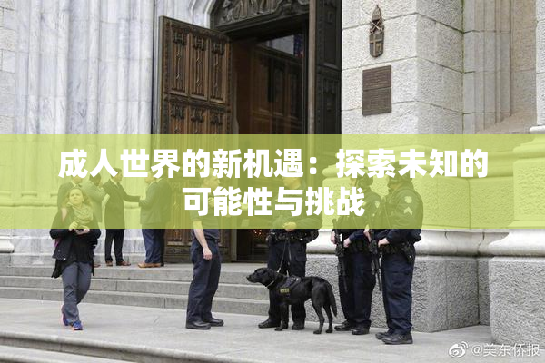 成人世界的新机遇：探索未知的可能性与挑战