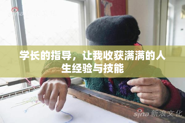 学长的指导，让我收获满满的人生经验与技能