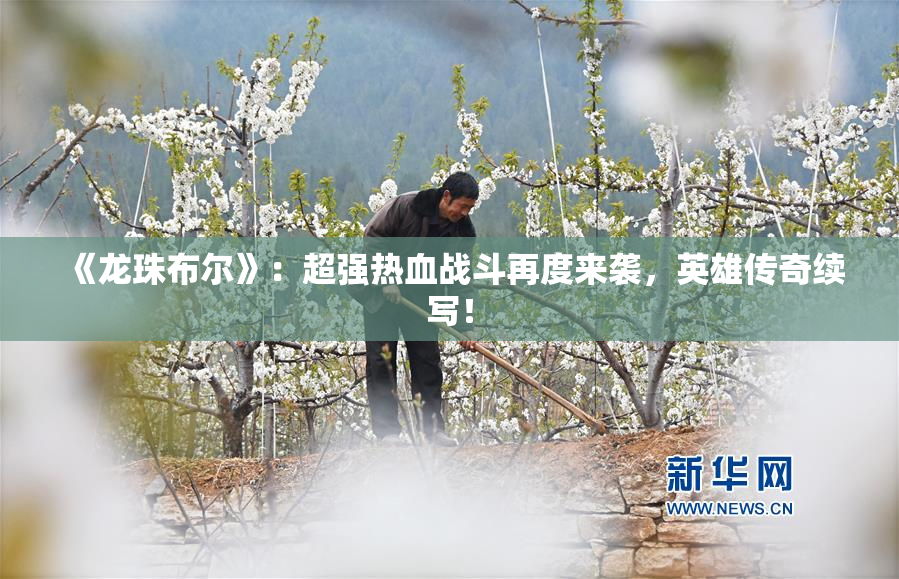 《龙珠布尔》：超强热血战斗再度来袭，英雄传奇续写！