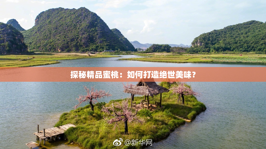 探秘精品蜜桃：如何打造绝世美味？