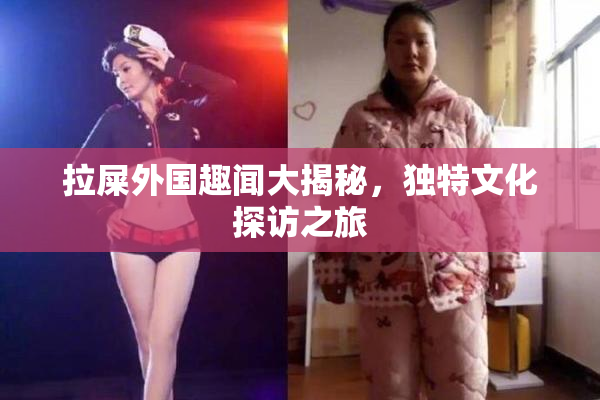 拉屎外国趣闻大揭秘，独特文化探访之旅