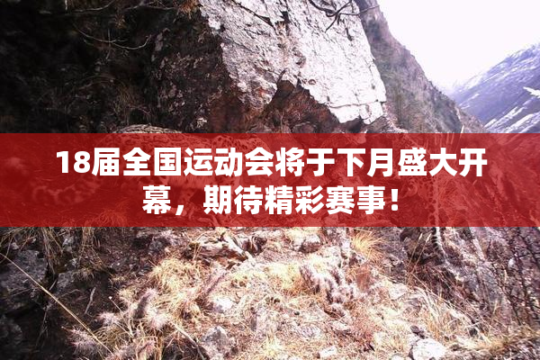 18届全国运动会将于下月盛大开幕，期待精彩赛事！