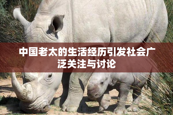 中国老太的生活经历引发社会广泛关注与讨论