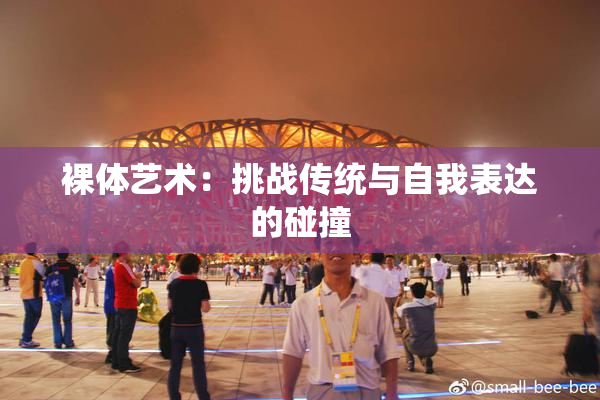 裸体艺术：挑战传统与自我表达的碰撞