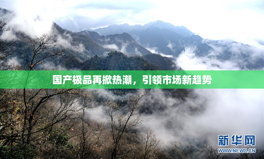 国产极品再掀热潮，引领市场新趋势