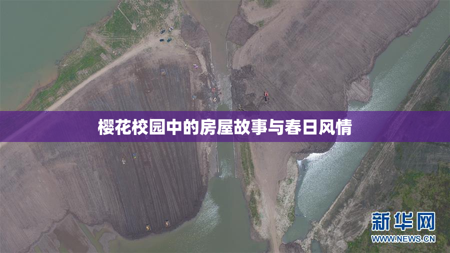 樱花校园中的房屋故事与春日风情