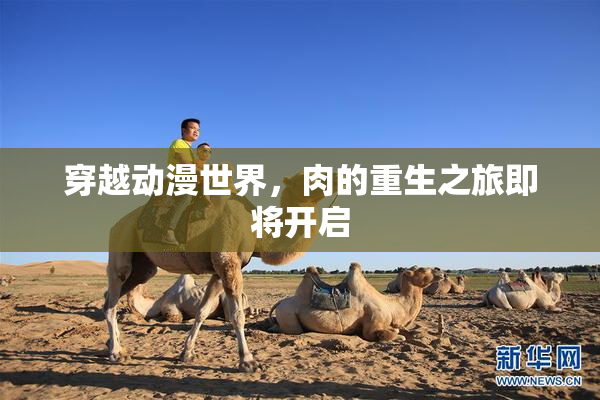 穿越动漫世界，肉的重生之旅即将开启