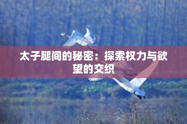 太子腿间的秘密：探索权力与欲望的交织