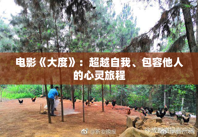 电影《大度》：超越自我、包容他人的心灵旅程