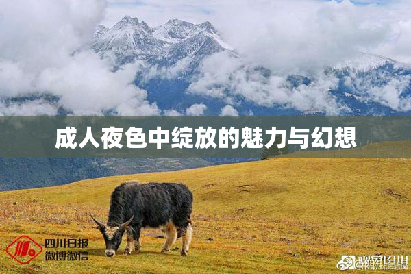 成人夜色中绽放的魅力与幻想