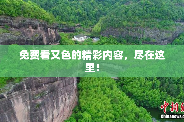 免费看又色的精彩内容，尽在这里！
