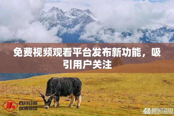 免费视频观看平台发布新功能，吸引用户关注