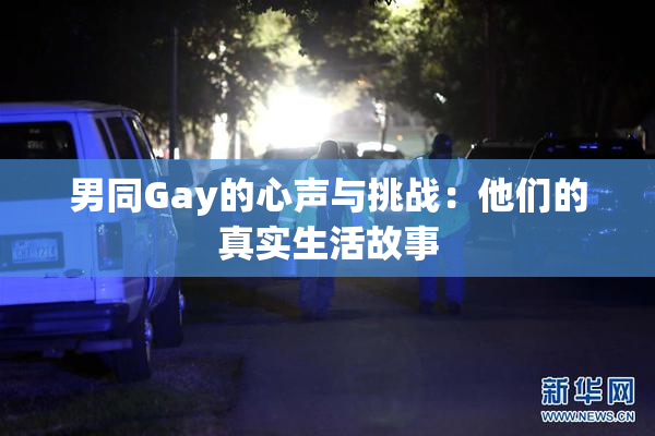 男同Gay的心声与挑战：他们的真实生活故事