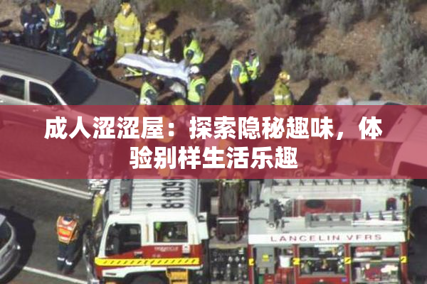 成人涩涩屋：探索隐秘趣味，体验别样生活乐趣