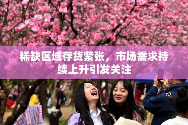 稀缺区域存货紧张，市场需求持续上升引发关注