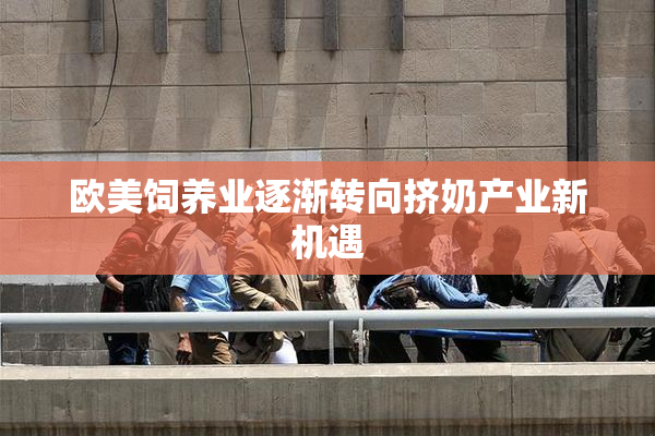 欧美饲养业逐渐转向挤奶产业新机遇