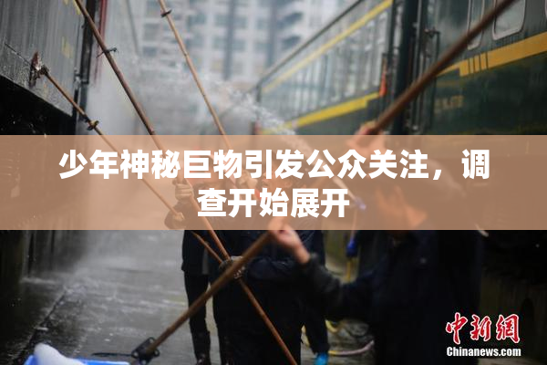 少年神秘巨物引发公众关注，调查开始展开